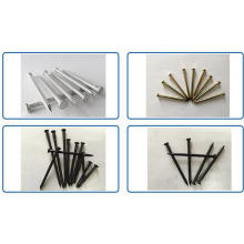 Direct Factory Hot Selling Concrete Nails
